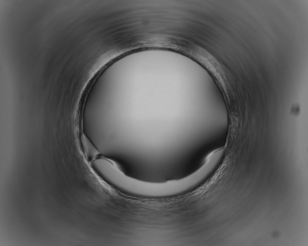 X0000098031141200804251409