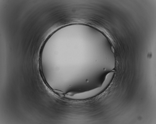 X0000098031143200804251409