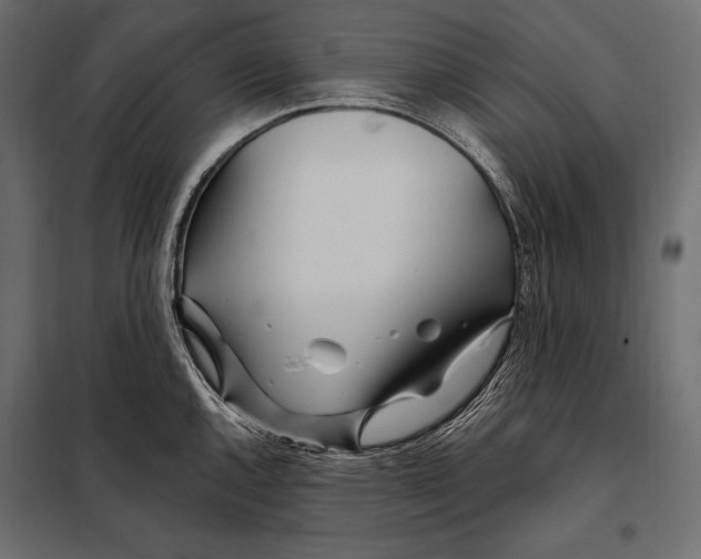 X0000098031144200804251409