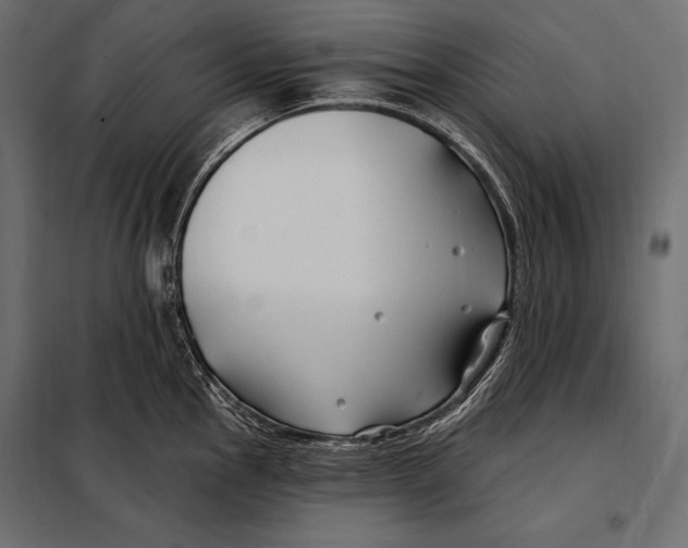 X0000098031145200804251409