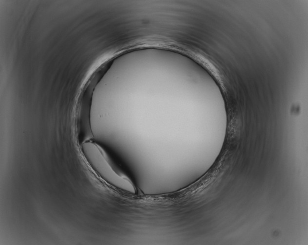 X0000098031146200804251409