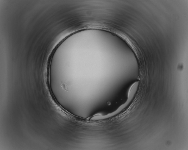 X0000098031147200804251409