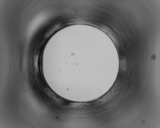 X0000098031150200804251409