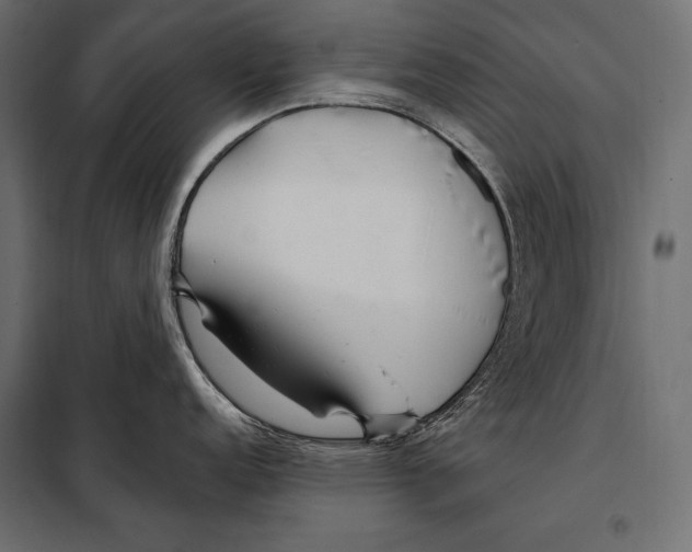 X0000098031152200804251409