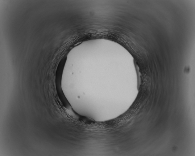 X0000098031153200804251408