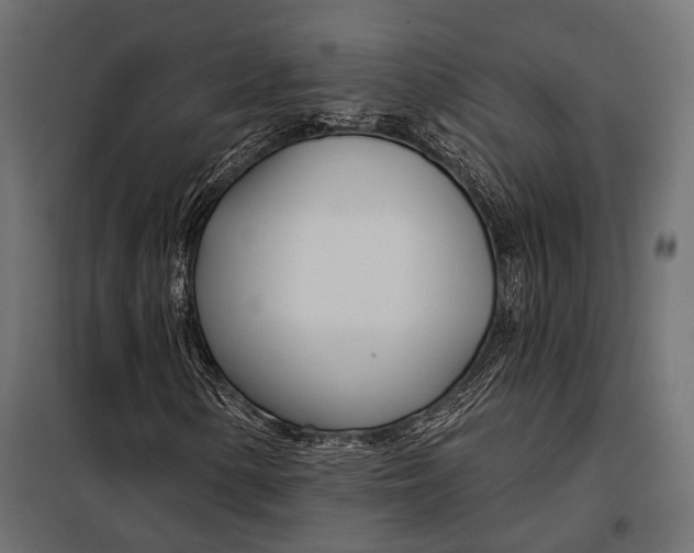 X0000098031154200804251408