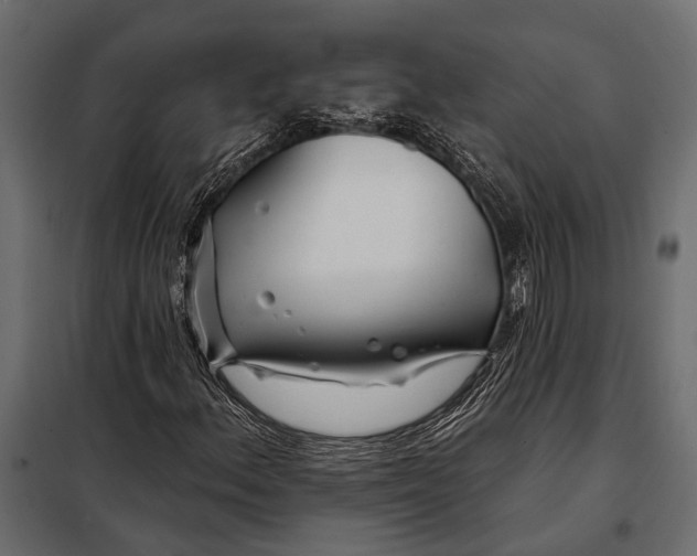 X0000098031156200804251408