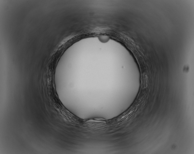 X0000098031158200804251408