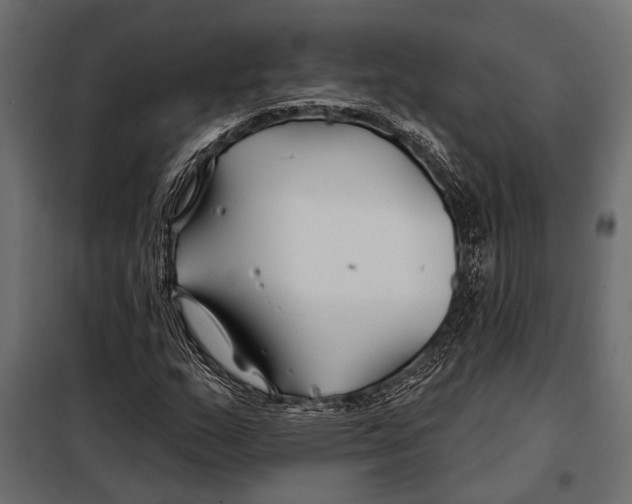 X0000098031159200804251408