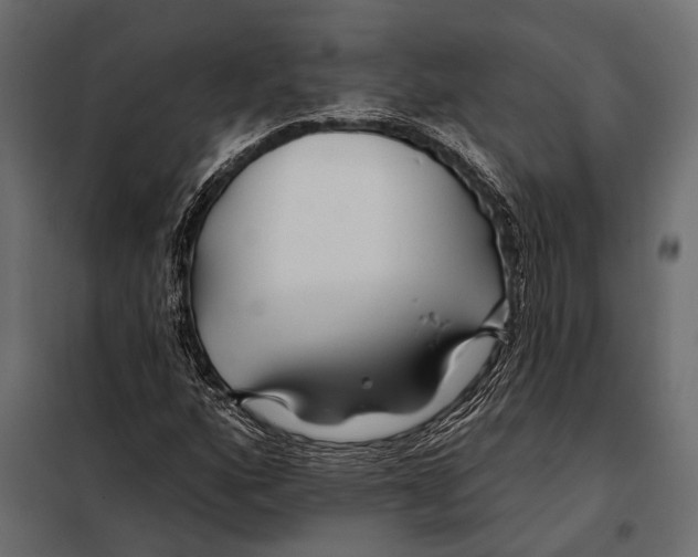 X0000098031160200804251408