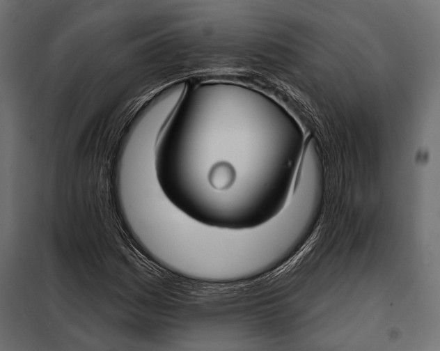 X0000098031161200804251408