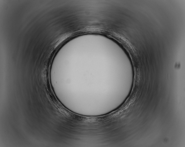 X0000098031162200804251408