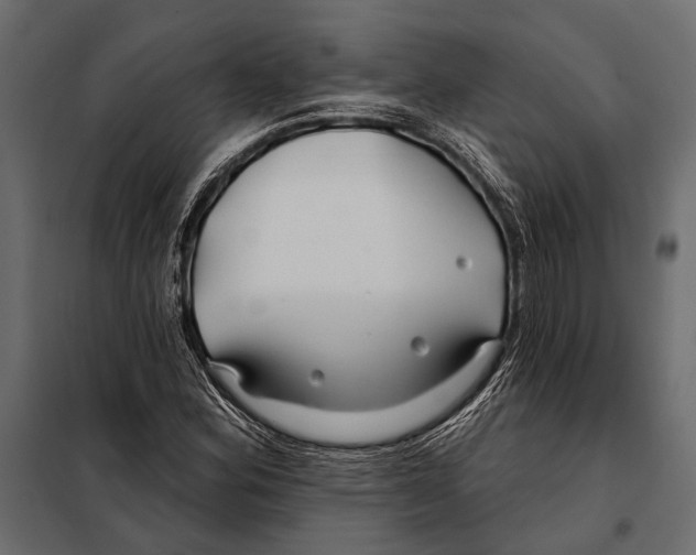 X0000098031164200804251408