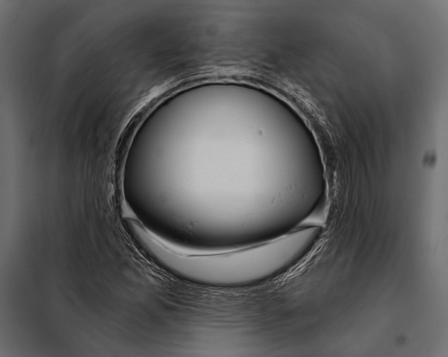 X0000098031165200804251408