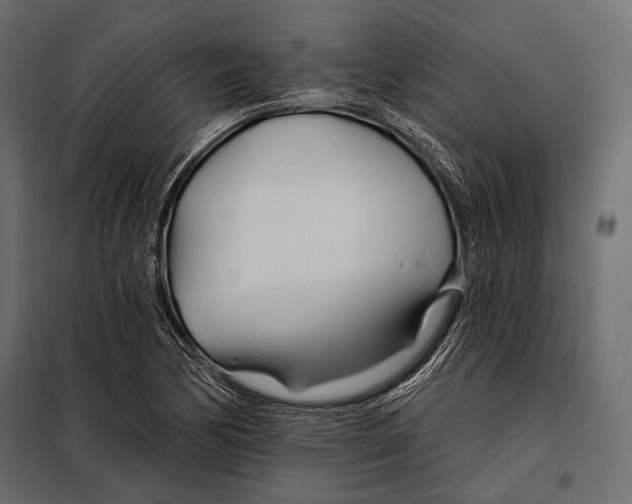 X0000098031170200804251408