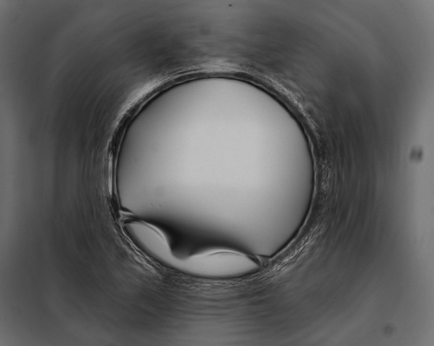 X0000098031171200804251408