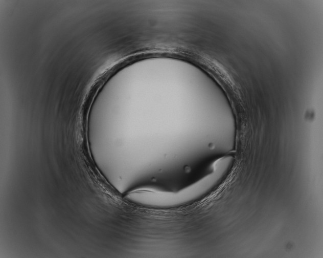 X0000098031172200804251408