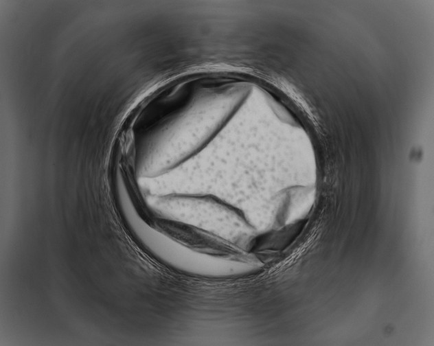 X0000098031173200804251408