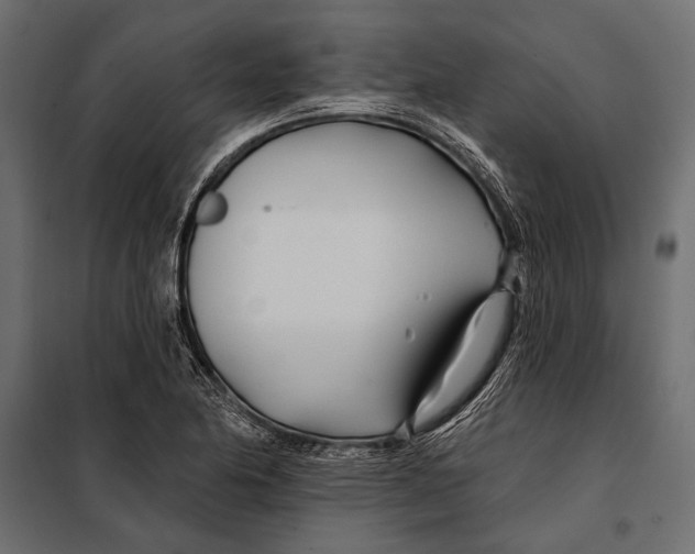 X0000098031174200804251408