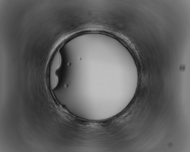 X0000098031175200804251408