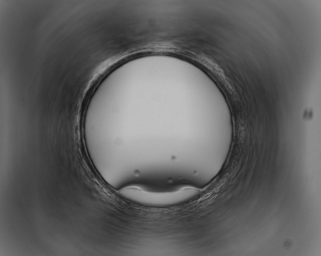 X0000098031176200804251408