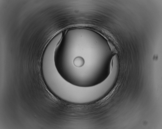 X0000098031177200804251408