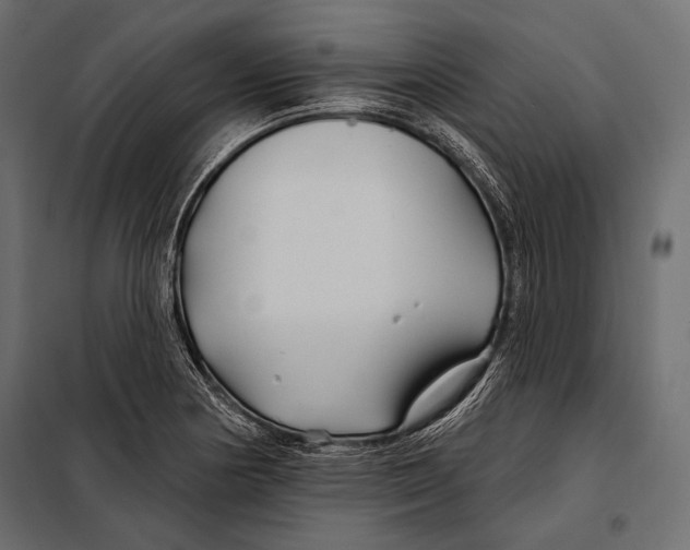 X0000098031178200804251408