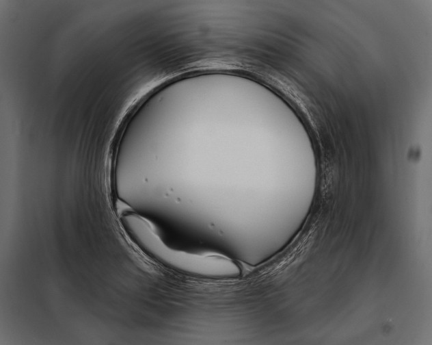 X0000098031179200804251408