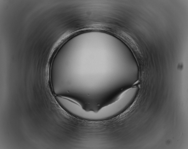 X0000098031180200804251408