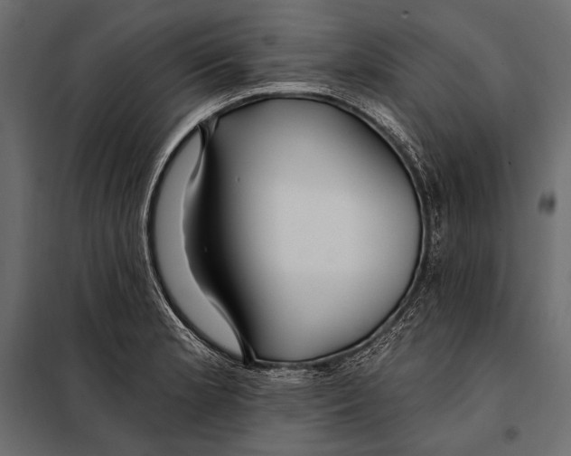 X0000098031181200804251408