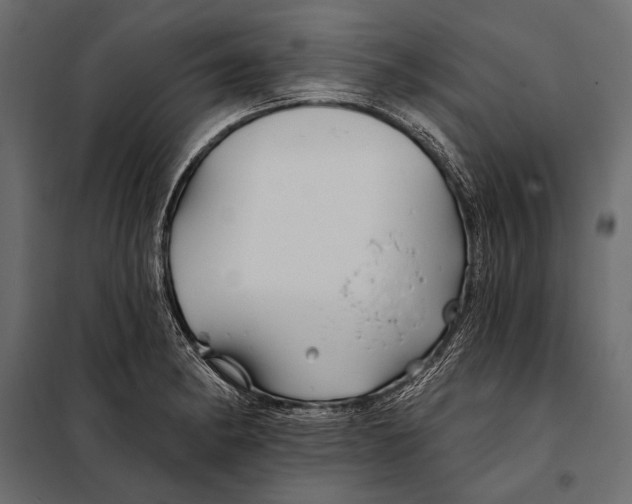 X0000098031182200804251408