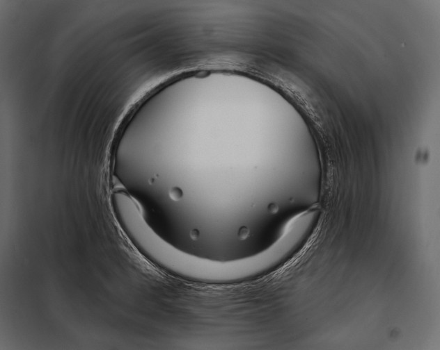 X0000098031184200804251408