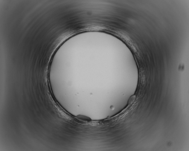 X0000098031186200804251408