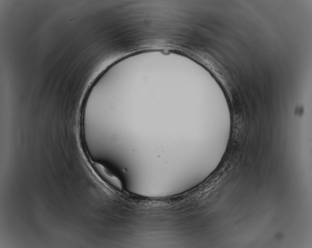 X0000098031187200804251408