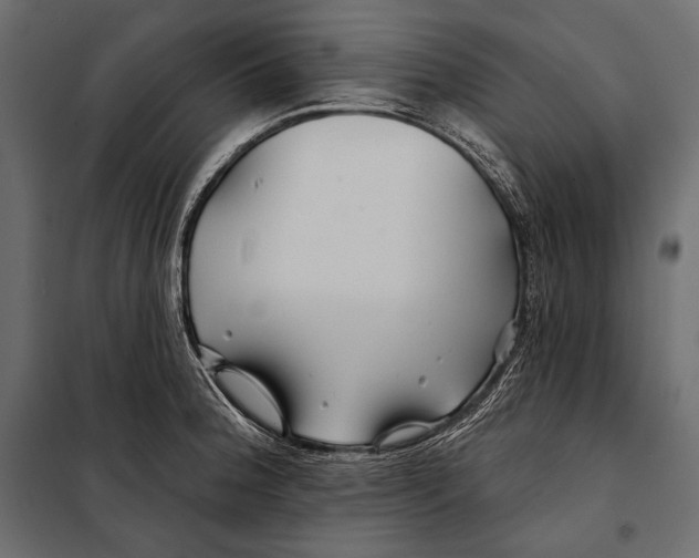 X0000098031188200804251408