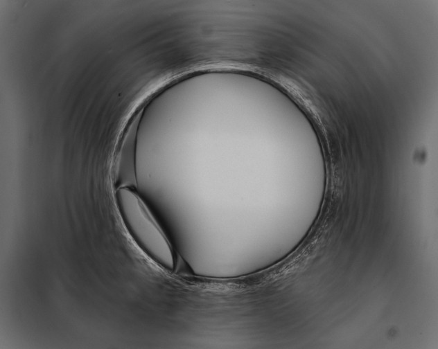 X0000098031189200804251407