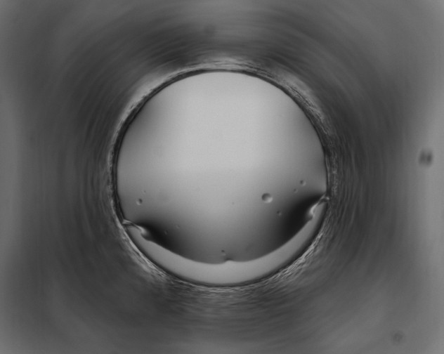 X0000098031192200804251407