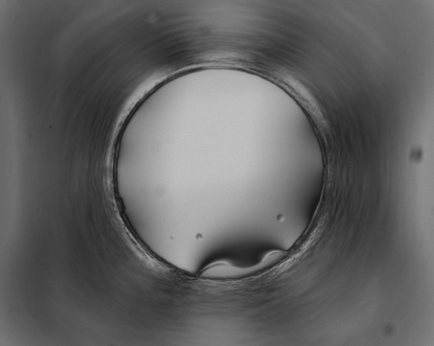 X0000098031196200804251407