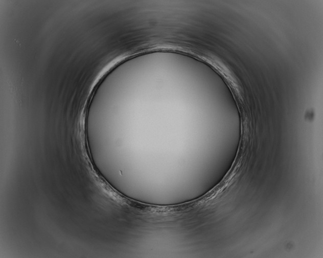 X0000098031198200804251407