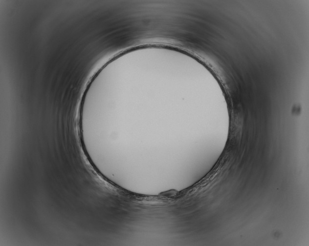 X0000098031199200804251407