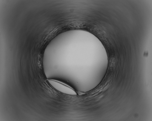 X0000098031202200804251406