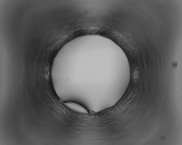 X0000098031204200804251406