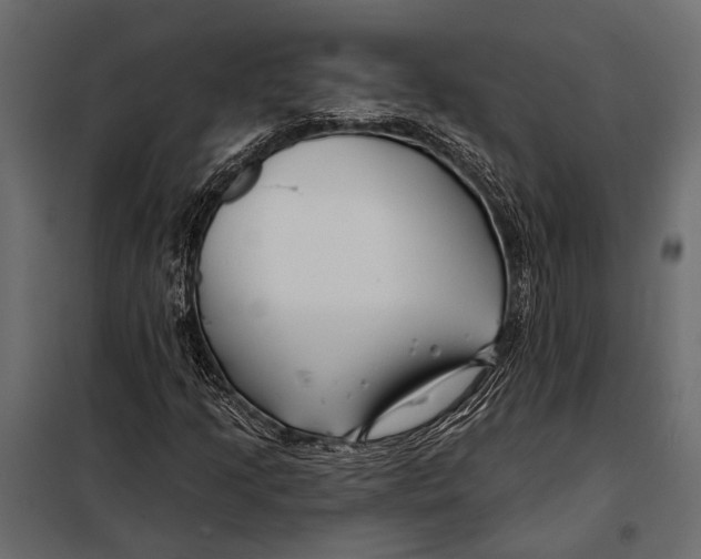 X0000098031205200804251406