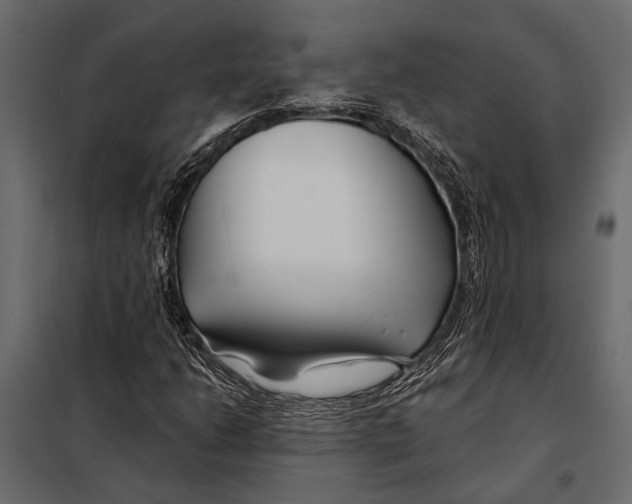 X0000098031206200804251406