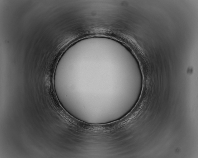 X0000098031209200804251406