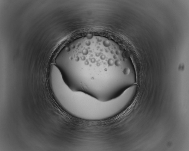 X0000098031210200804251406