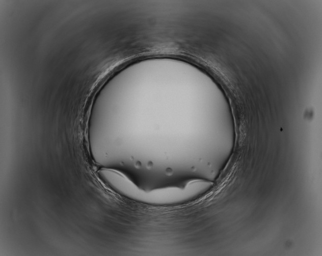 X0000098031212200804251406