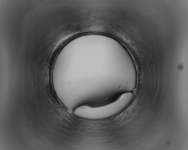 X0000098031214200804251407