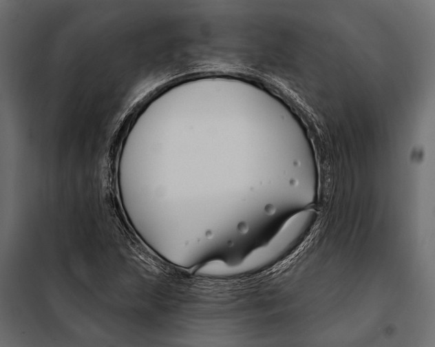 X0000098031215200804251407