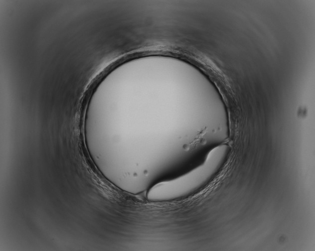 X0000098031216200804251407